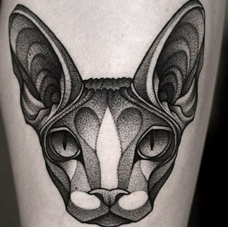 Tatuaje de gato Sphynx esfinge en la pierna.