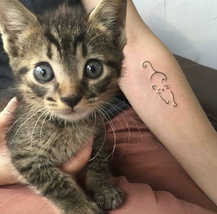 Tatuaje de gato silueta en el brazo.