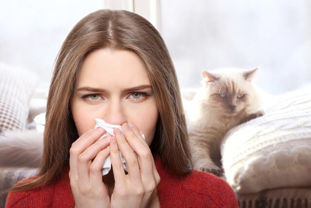 Cómo quitar alergia a los gatos remedios caseros